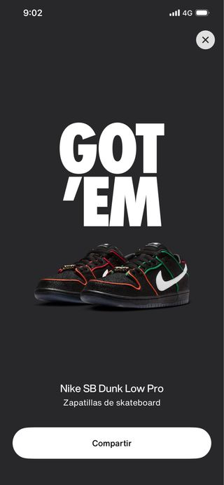 Nike SB Dunk Low Pro x Bronx Girls Skate