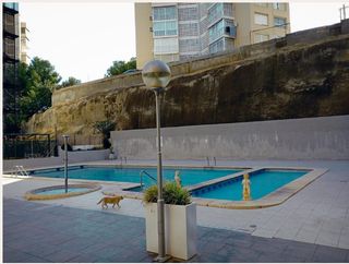 Jardinero y Paisajista