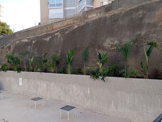 Jardinero y Paisajista