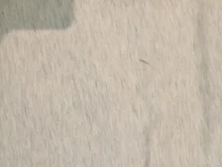 Camiseta gris manga corta