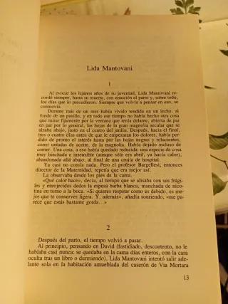 La novela de Ferrara