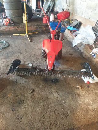 Segadora Sturm motor Cutiemme