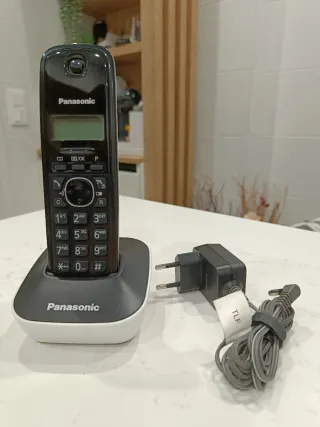 Teléfono Inalámbrico Panasonic KX-TG1611SPH
