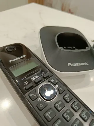 Teléfono Inalámbrico Panasonic KX-TG1611SPH