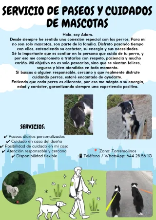 Cuidado y paseo de mascotas