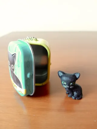 Pack 4 cajitas Kitty Club