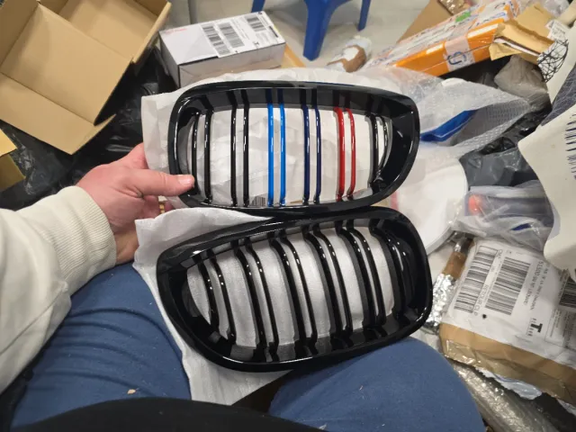 Parrilla Delantera BMW Riñón