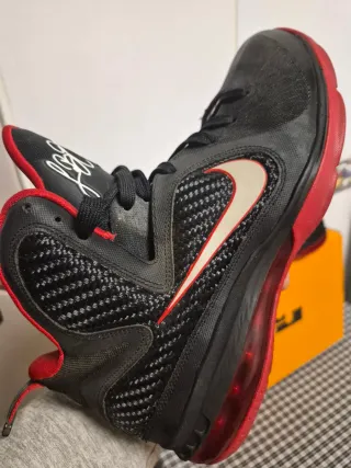 ZAPATILLAS NIKE LEBRON IX