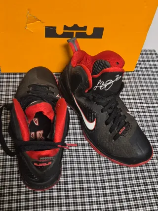 ZAPATILLAS NIKE LEBRON IX