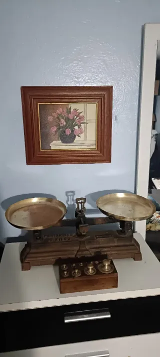 Balanza Antigua de Precisión
