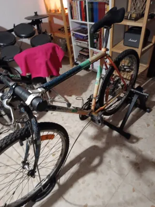 Bicicleta de Montaña