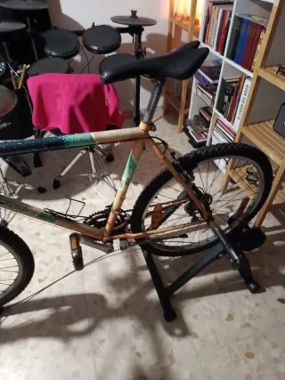 Bicicleta de Montaña