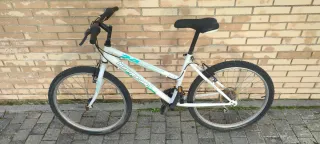Bicicleta De Montaña 24" Boomerang