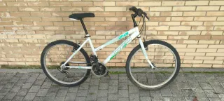 Bicicleta De Montaña 24" Boomerang