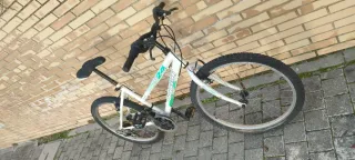 Bicicleta De Montaña 24" Boomerang