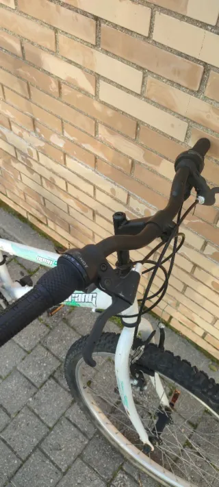 Bicicleta De Montaña 24" Boomerang