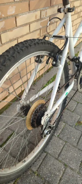 Bicicleta De Montaña 24" Boomerang