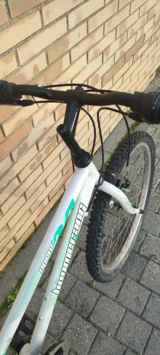 Bicicleta De Montaña 24" Boomerang