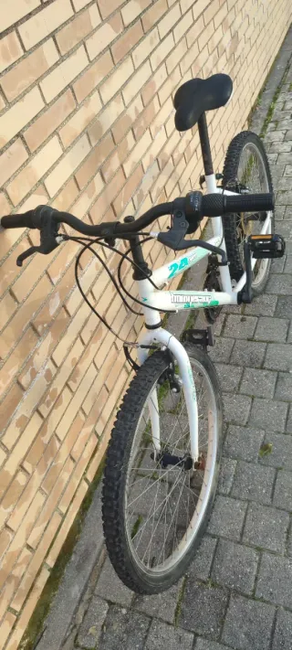 Bicicleta De Montaña 24" Boomerang