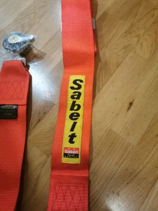 Arneses Deportivos para Coche