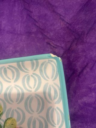 Piatto rettangolare con cactus