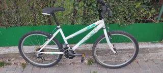 Bicicleta de Montaña Boomerang 24