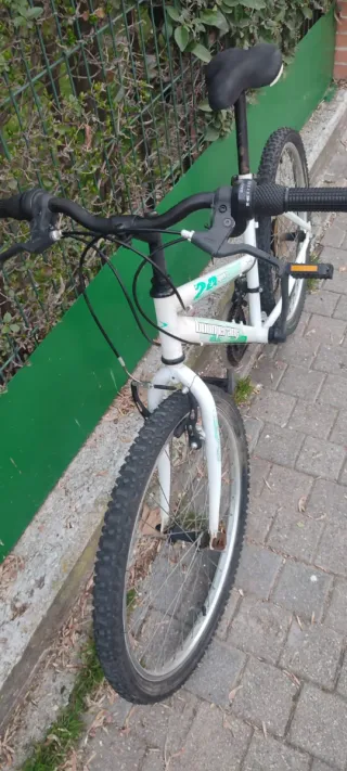 Bicicleta de Montaña Boomerang 24