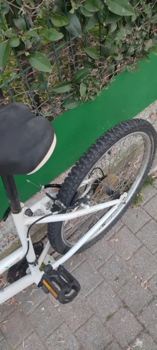 Bicicleta de Montaña Boomerang 24