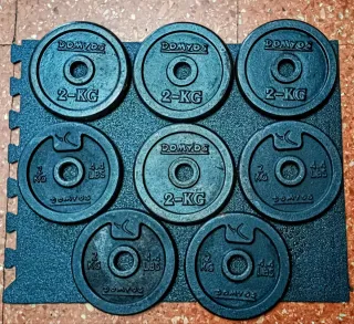 Discos para pesas (16Kg)
