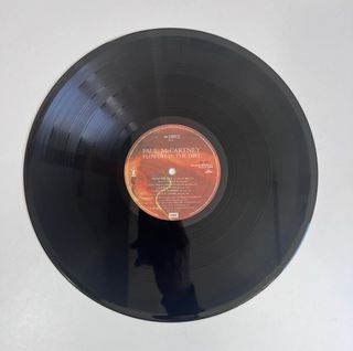 Paul McCartney - Flowers in the Dirt / vinilo