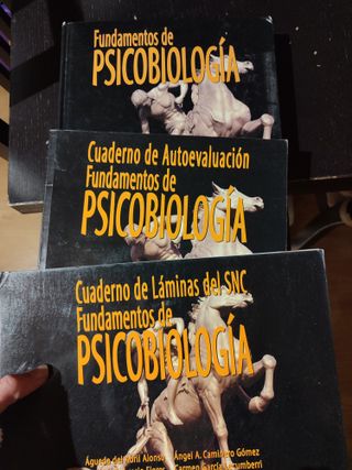 Lote libros psicología UNED