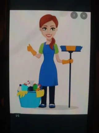 Cuidadora limpieza interna o externa