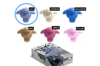 WTB-Fe3O4:break limited Lily