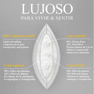 Almohada Orange Wave Plumas Lujo RDS