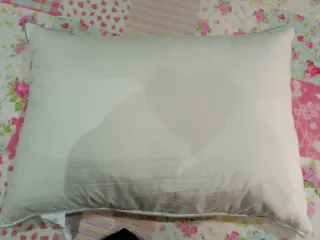 Almohada Orange Wave Plumas Lujo RDS