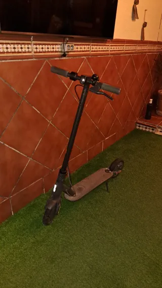 Patinete Eléctrico Xiaomi