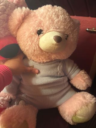 Lote 2 Osos Peluche Grandes