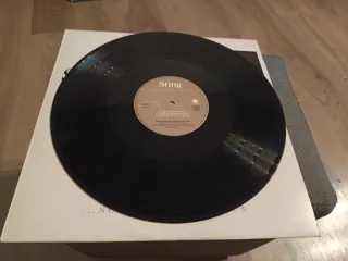 Sting - Nothing Like The Sun (2 Vinilos LP)