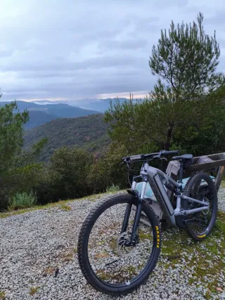 Rockrider e-explore500s