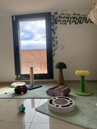 Guardería felina - Yutori cat house