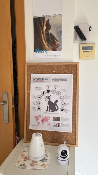 Guardería felina - Yutori cat house