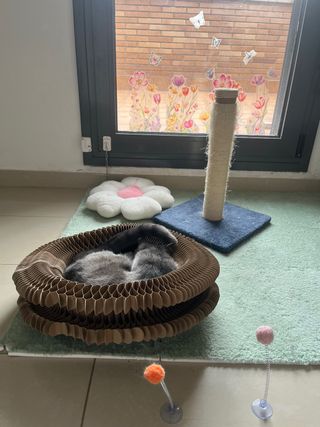 Guardería felina - Yutori cat house