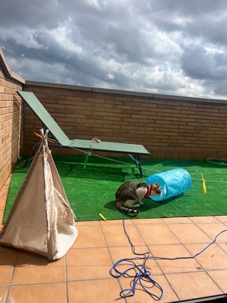 Guardería felina - Yutori cat house