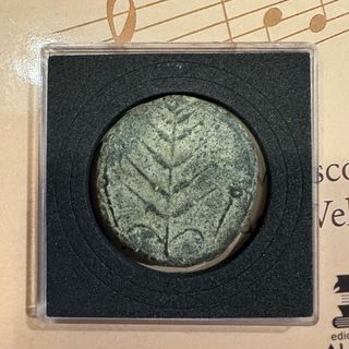 Moneda Ibérica Antigua