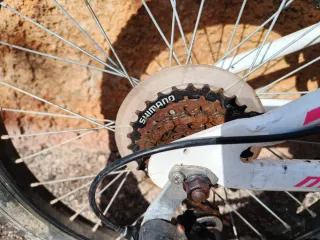 Bicicleta Infantil Megamo 20 Rosa y Blanca