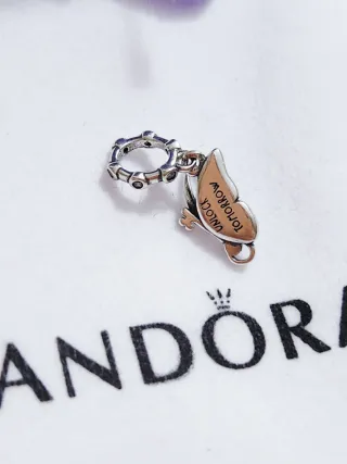 Charm Colgante Doble Ala Plata con brillo