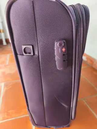 Maleta Delsey Morada Rígida