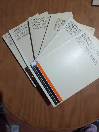 Teoría Económica Superior II (Macroeconomía) 6 UD