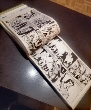 Dos tomos encuadernados del jabato