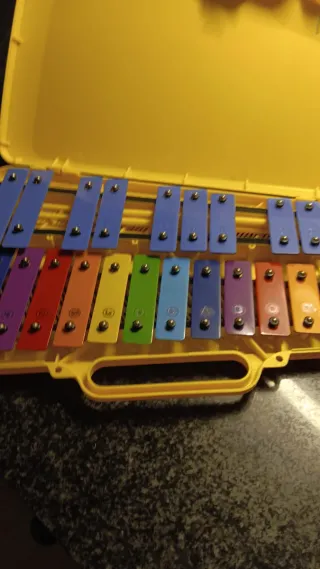 Xilófono infantil con funda